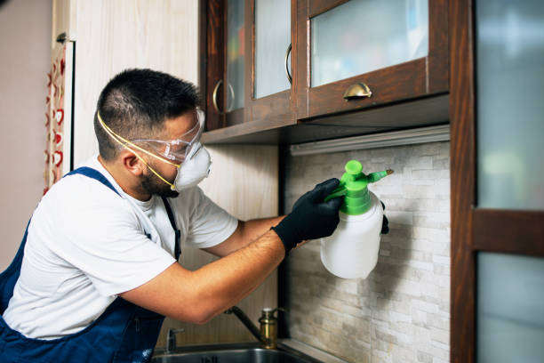Best Wasp Removal Services  in Carbondale, PA