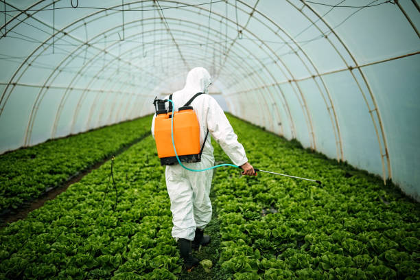 Best Best Pest Control Companies  in Carbondale, PA