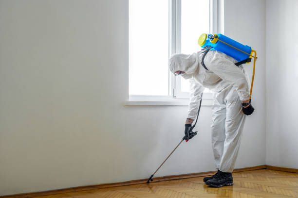 Best Commercial Pest Control Services  in Carbondale, PA