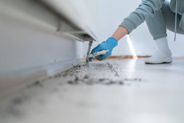 Best Mosquito Control Services  in Carbondale, PA