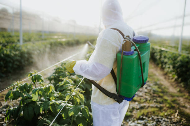 Best Wildlife Control Services  in Carbondale, PA